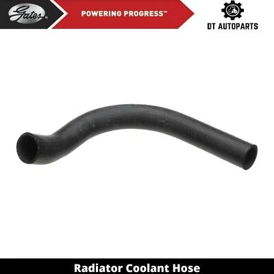 Para 1987-1988 Chevrolet S10 Blazer 2.5L L4 GAS Manguera de refrigerante del radiador Puertas inferiores Foto 1 de 4