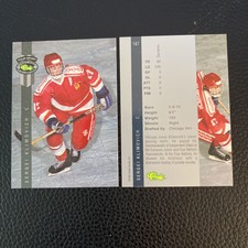 1992 Classic Four-Sport #187 Sergei Klimovich - Chicago Blackhawks     H0173