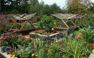 ANTI AGING GARDEN OF YOUTH 15 VARIETIES SELECTED LOOK BETTER LONGER EAT BETTER!  - Picture 1 of 1