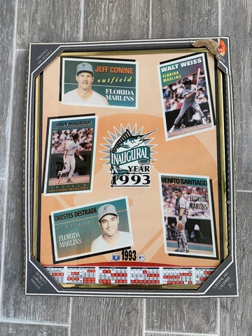 Marlins Inaugural Year 1993 Player Poster Framed Cover