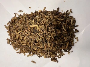 Dried Calci worms 150g, BSFL, Black Soldier Fly Larvae, Insect Protein - Picture 1 of 7