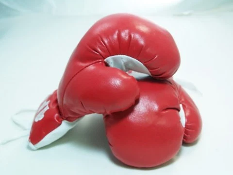 Red Corner - 08oz boxing Gloves Sport Fitness Training [Misc.] Cover