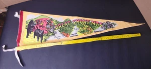 Grande bandiera pennant in feltro Smokey Mountains: vintage North Carolina Tennessee: 24" - Foto 1 di 8