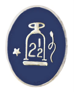 Royal Arch 2 1/2 Tribes Blue Oval Orange Order Pin Badge - Picture 1 of 1