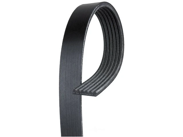 Cinturón Multi Rib para C1500 Blazer Suburban C2500 K1500 K2500 Yukon C3500 SS51N8 Foto 1 de 1