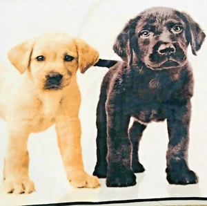 Labrador gelb schwarz Schokolade Überwurf Decke Hunde 64" x 50" - Bild 1 von 12