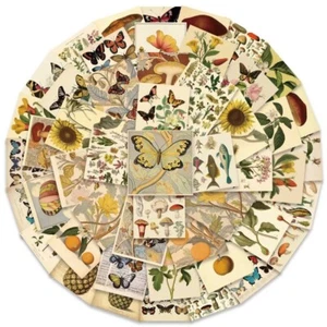 Vintage Botanical Flower Mushroom Journal Ephemera Stickers Scrapbooking 50pcs - Picture 1 of 7