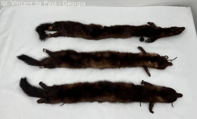 Annis Furs 3 Whole body Minks. Fur Coat Collar, Unisex One Size Vintage - Image 1 of 4