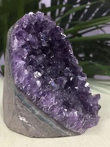 Large Amethyst Cluster Geode Crystal Quartz Cut Base Amethyst Specimen Uruguay. - Picture 1 of 1