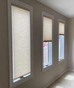 HUNTER DOUGLAS DUETTE PLEATED SHADE BEIGE (3 available) 18" x 58" - Picture 1 of 8