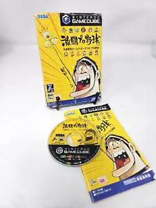 Gekitou Pro Yakyuu Mizushima Shinji Allstars vs Pro Nintendo Gamecube Giappone - Foto 1 di 8