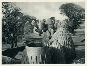 AFRICAN MUSGU VILLAGE 1930 photogravure Architecture Logone River vintage print - Picture 1 of 3