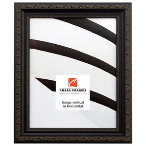 Craig Frames Ancien Ornate, Antique Black Picture Frame, 16 by 20-Inch - Picture 1 of 7