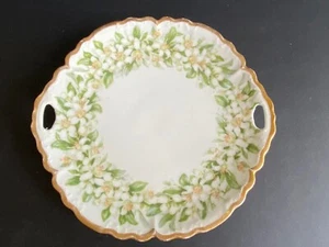 ANTIQUE PT TIRSCHENREUTH BAVARIA HAND PAINTED FLORAL HANDLED  plate 9.5” wide - Bild 1 von 4