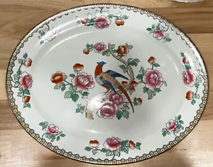 Antique F Winkle & Co, Pheasant 10" Oval Plate, Whieldon Ware Semi-Porcelain - Picture 1 of 8