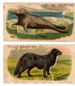 2 Cigarette cards from Wills, Animals A series, #32 Seal & #20 Retriever - Picture 1 of 2