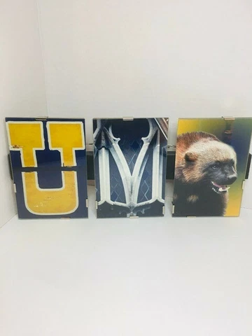 U of M Wolverines Michigan Wall Art/Frame Go Blue Unique Decoration School Pride Cover