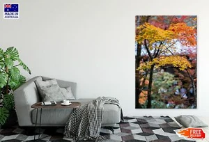 Yellow Autumn Leaves Branch View Wall Canvas Home Decor Australian Made Quality - Picture 1 of 3
