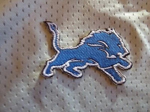 DETROIT LIONS Women's Nylon Gray "Practice Jersey" NWOT Size (XL) Retail $59 - Picture 1 of 6