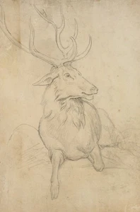 C. DEIKER (1836-1892), Liegender Hirsch, Bleistift Romantik Tiere 1850-1899 - Picture 1 of 5