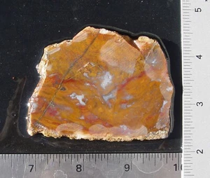 Gold und rot moosige Feder Achat Lapidarplatte T1279 - Bild 1 von 10