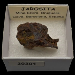 JAROSITA (Mina Elvira, Bruguers, Gava, Barcelona, España) #30301 / Jarosite - Picture 1 of 1
