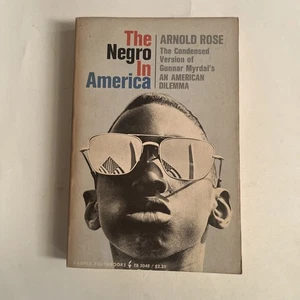 The Negro In America by Arnold Rose 1964 Harper Torchbooks PB - Picture 1 of 20