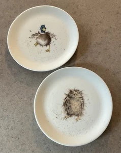 ROYAL WORCESTER :: Set/2 OWL & DUCK 8 1/4” PLATES Wrendale Designs DALE ENGLAND - Picture 1 of 15