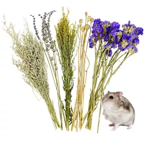 Natural Hamster Bedding Flower & Herb Hamster Bedding Mate Hamster Sprays Ger... - Picture 1 of 6