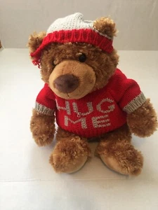 Gund 2013 Hug Me Little Brown Bear Plush Toy Sweater Beanie Rare - Picture 1 of 11