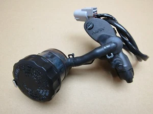 Kawasaki Ninja H2 SX SE Z1002 BLF 2020 freno delantero cilindro maestro (11502) - Imagen 1 de 10