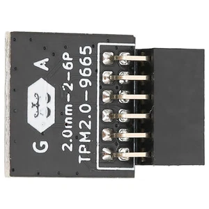 GA Gigabyte LPC 12PIN Tpm 2.0 Remote Card Encryption Security Module - Zdjęcie 1 z 12