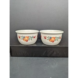 Corelle Coordinates Abundance Stoneware 7 Oz Ramekin Dessert Cups Lot of 2 - Picture 1 of 7