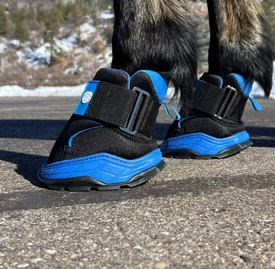 EasyCare Easyboot Rx2 Horse Boot, Black/Blue, Size 000, Spld Separately, OpenBox - Image 1 of 4