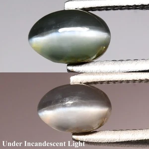 💎 0.72ct Oval Cabochon Natural Green Cat's Eye Alexandrite - Russia Gemstone - Picture 1 of 6