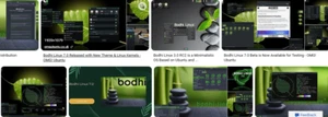 Bodhi Linux 7.0 DVD and A-USB Live Keys Canada USA Puerto Rico - Picture 1 of 1