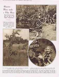 Szenen aus dem Film "Händlerhorn" 2 x Vintage Drucke 1931 - Bild 1 von 2