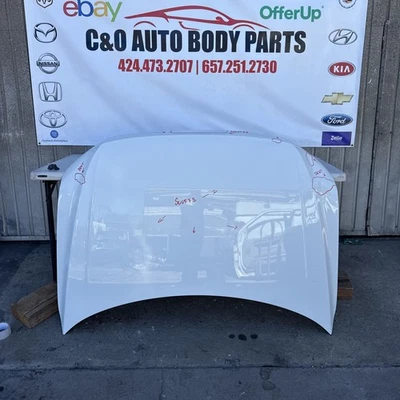 2018 2019 2020 2021 2022 2023 2024 VOLKSWAGEN TIGUAN PANEL CAPÓ OEM USADO Foto 1 de 4