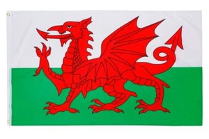 Bandera de Gales bandera izosa 90X150 ojales dragón galés banderas escudo de armas - Imagen 1 de 6