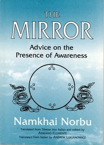 The Mirror by Namkhai Norbu PB, 1996 Scarce Out of Print - Picture 1 of 3
