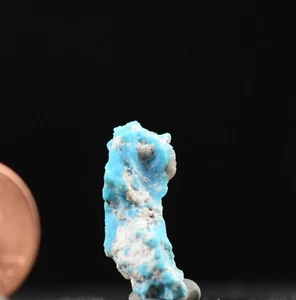 Dornröschen Natur Türkis Nugget, Arizona - Bild 1 von 10