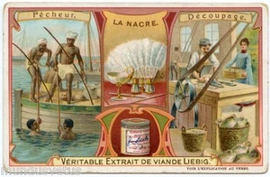 CHROM. LIEBIG. LA NACRE . FISCHER. DECOUPAGE. THE PEARL. FISHER.  - Bild 1 von 2