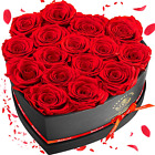 16 Preserved Flower Delivery Prime, Fresh Forever Roses in a Box, Birthday Gifts
