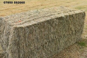 Hay Bale For Sale Ebay