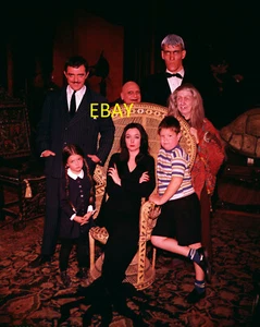Foto del elenco de TV de la familia Addams de 8x10" AA6075 - Imagen 1 de 1