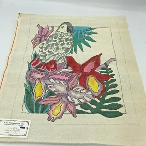 Hand Painted Needlepoint Pattern Canvas Parrot S&S Needlepoint Jeanette - Picture 1 of 7