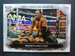 2015 Topps WWE Undisputed Cage Evolution Moments #CEM-12 UNDERTAKER / TRIPLE H