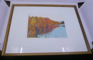 2001 NUMBERED SCREEN PRINT BY THOMAS NORULAK, CONFLUENCE AUTUMN, FRAMED, MATTED - Picture 1 of 11