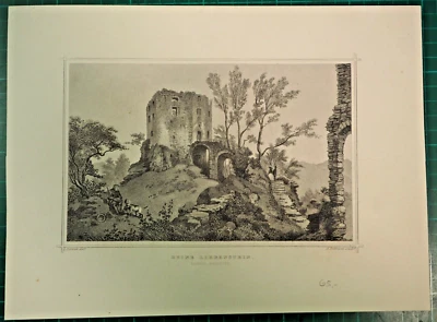 Ruine Liebenstein, Sachsen Meiningen - originaler Stahlstich. Mitte 19. Jhdt. - Bild 1 von 2
