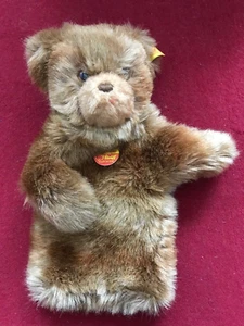 STEIFF: WUNDERSCHÖNE HANDPUPPE TEDDY - TOP - SELTEN! - Bild 1 von 8